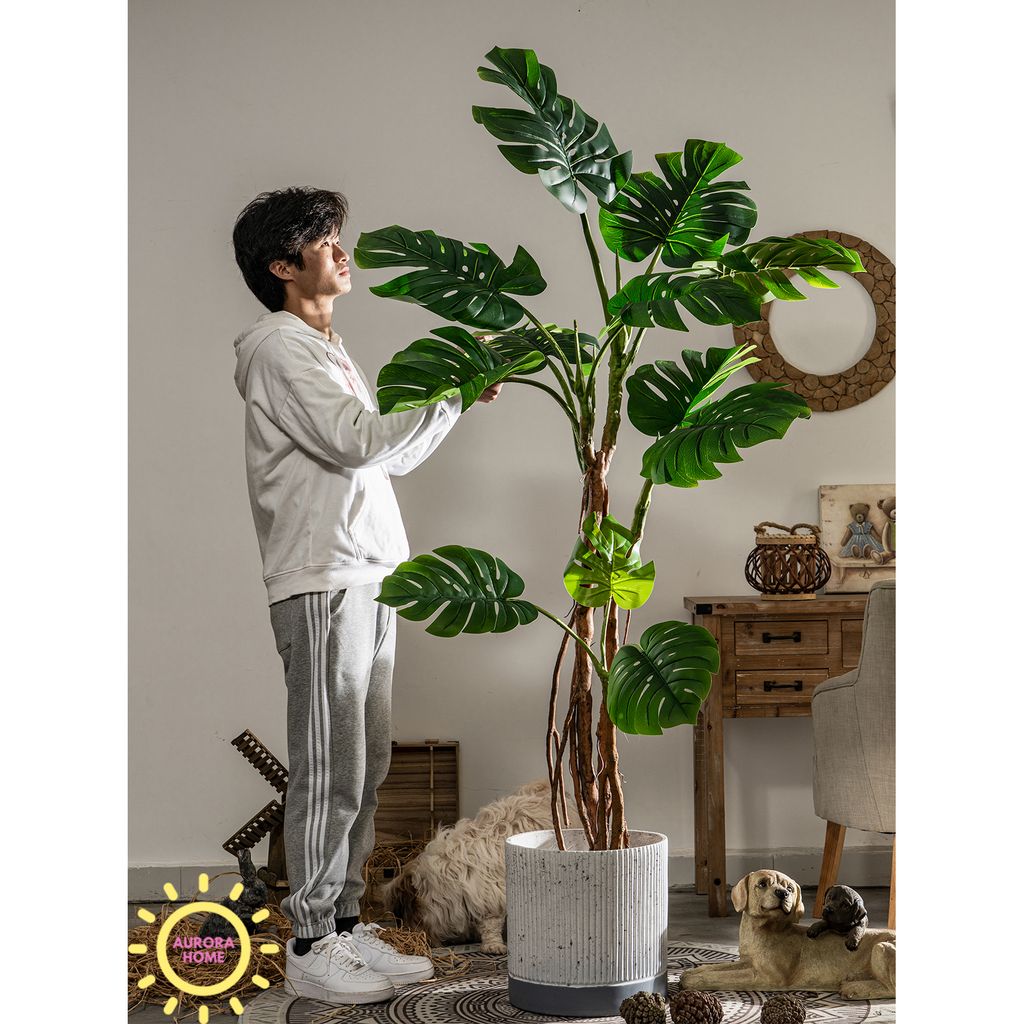 Cây giả Monstera lá xẻ rừng nhiệt đới