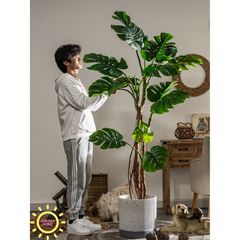 Cây giả Monstera lá xẻ rừng nhiệt đới