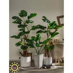 Cây giả Monstera lá xẻ rừng nhiệt đới