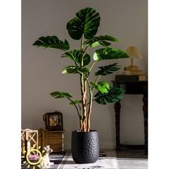 Cây giả Monstera lá xẻ rừng nhiệt đới