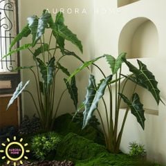 Cây giả Premium Cây Môn Ngựa Salian Alocasia