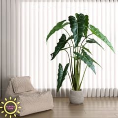 Cây giả Premium Cây Môn Ngựa Salian Alocasia