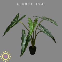 Cây giả Premium Cây Môn Ngựa Salian Alocasia