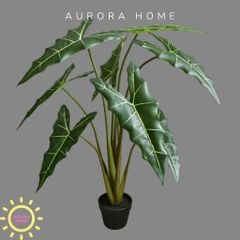 Cây giả Premium Cây Môn Ngựa Salian Alocasia