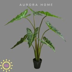 Cây giả Premium Cây Môn Ngựa Salian Alocasia
