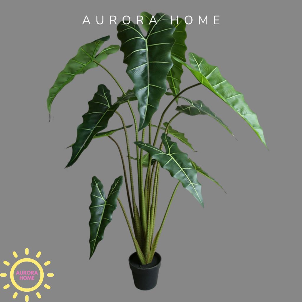 Cây giả Premium Cây Môn Ngựa Salian Alocasia