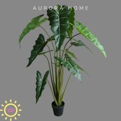 Cây giả Premium Cây Môn Ngựa Salian Alocasia