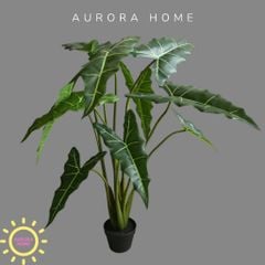 Cây giả Premium Cây Môn Ngựa Salian Alocasia