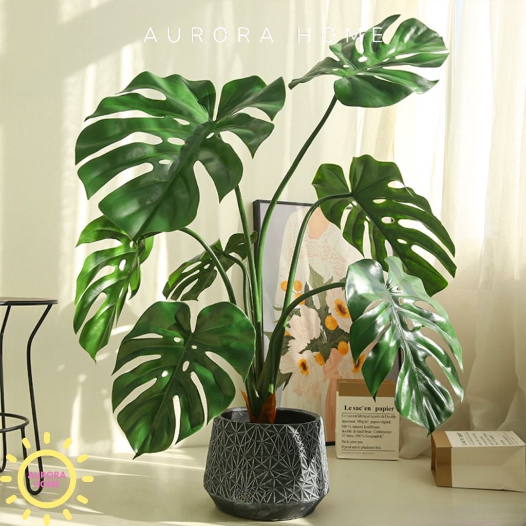 Cây giả Premium Monstera lá rùa nhiệt đới