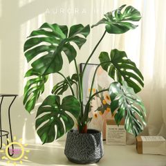 Cây giả Premium Monstera lá rùa nhiệt đới