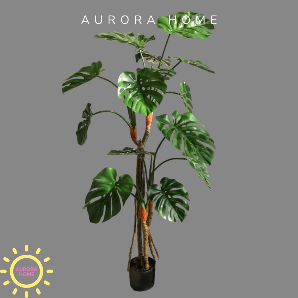 Cây giả Premium Monstera lá rùa nhiệt đới