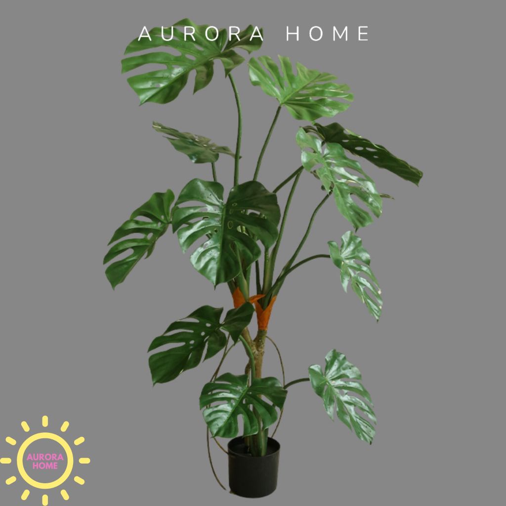 Cây giả Premium Monstera lá rùa nhiệt đới
