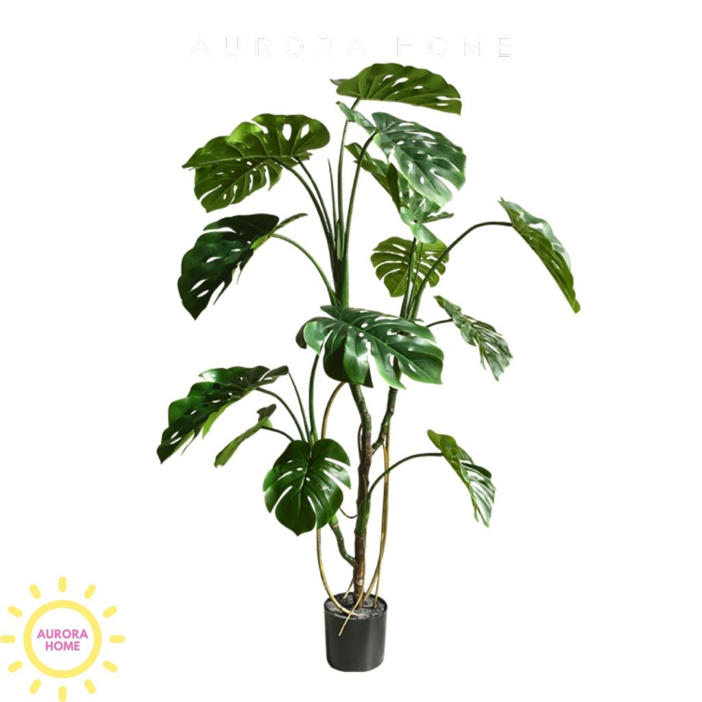 Cây giả Premium Monstera lá rùa nhiệt đới