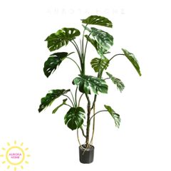 Cây giả Premium Monstera lá rùa nhiệt đới
