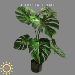 Cây giả Premium Monstera lá rùa nhiệt đới