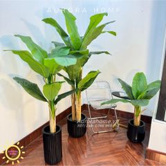 Cây giả Premium cây chuối Việt Nam cao cấp