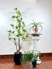 Cây hoa nhài trang trí (cây giả)