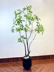 Cây Asebi nhật bản trang trí (cây giả)