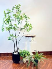 Cây Asebi nhật bản trang trí (cây giả)