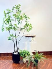Tiểu cảnh cây giả Asebi (Set cây decor 05)