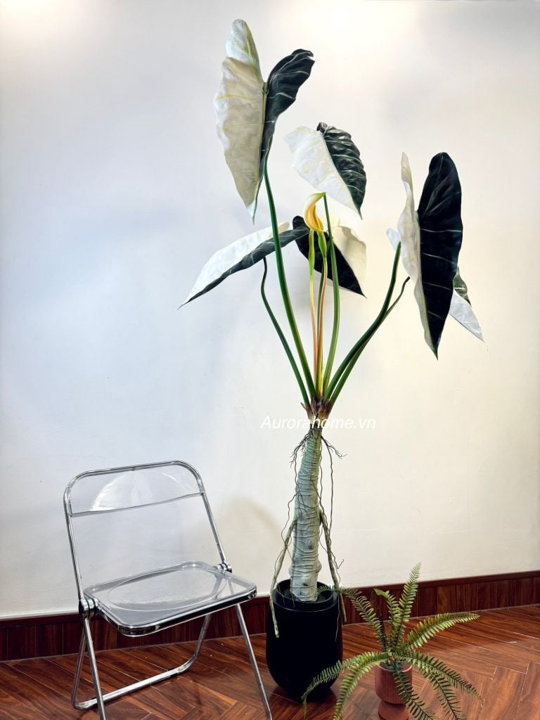 Cây giả Premium Cây Môn Ngựa Salian Alocasia bạch biến