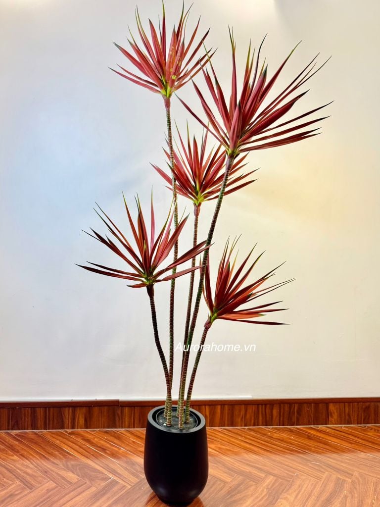 Cây giả Premium cây thùa Tequila sắc đỏ