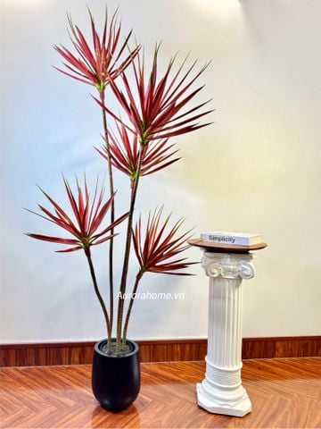 Cây giả Premium cây thùa Tequila sắc đỏ