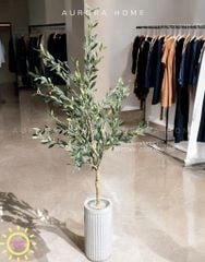 Cây ô liu Bắc Âu giả cao cấp (kèm chậu)