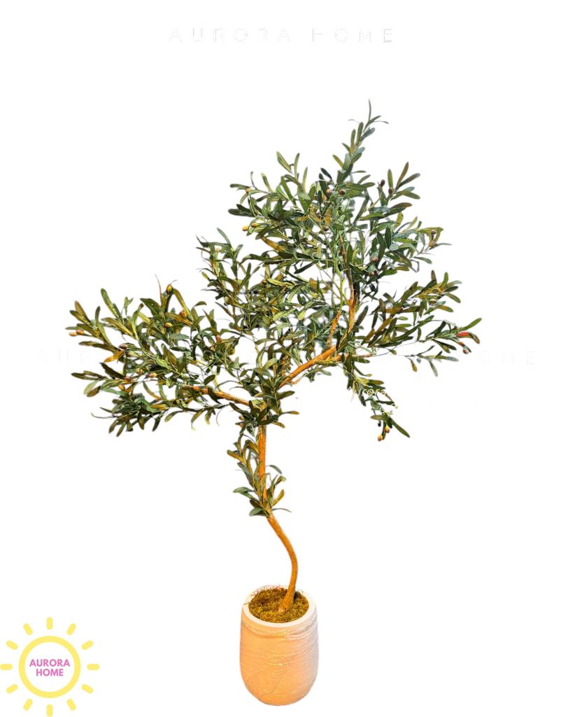 Cây ô liu giả dáng bonsai độc đáo