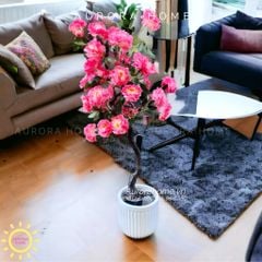 Cây hoa mẫu đơn giả