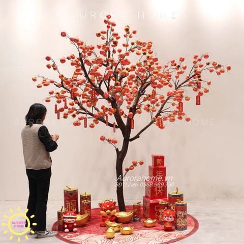 Cây hồng giả bonsai - Trồng theo kích thước yêu cầu