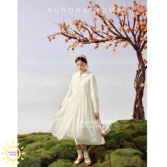 Cây hồng giả bonsai - Trồng theo kích thước yêu cầu