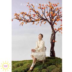 Cây hồng giả bonsai - Trồng theo kích thước yêu cầu