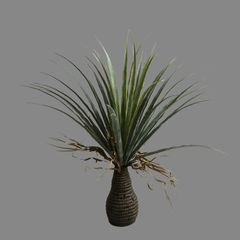 Cây giả Premium cây huyết rồng trang trí (210cm)