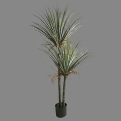 Cây giả Premium cây huyết rồng trang trí (210cm)