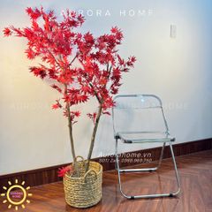 Cây lá phong đỏ giả thiết kế cao cấp