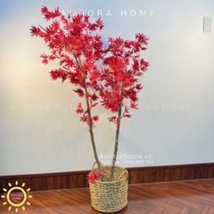 Cây lá phong đỏ giả thiết kế cao cấp