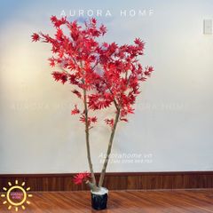 Cây lá phong đỏ giả thiết kế cao cấp