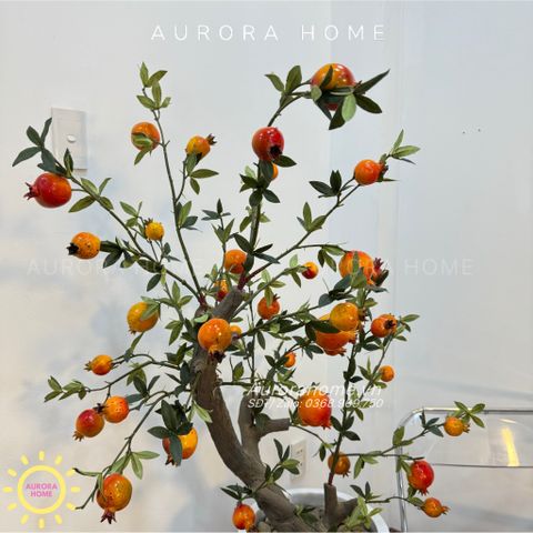 Cây lựu giả dáng bonsai cao cấp (đã kèm chậu)