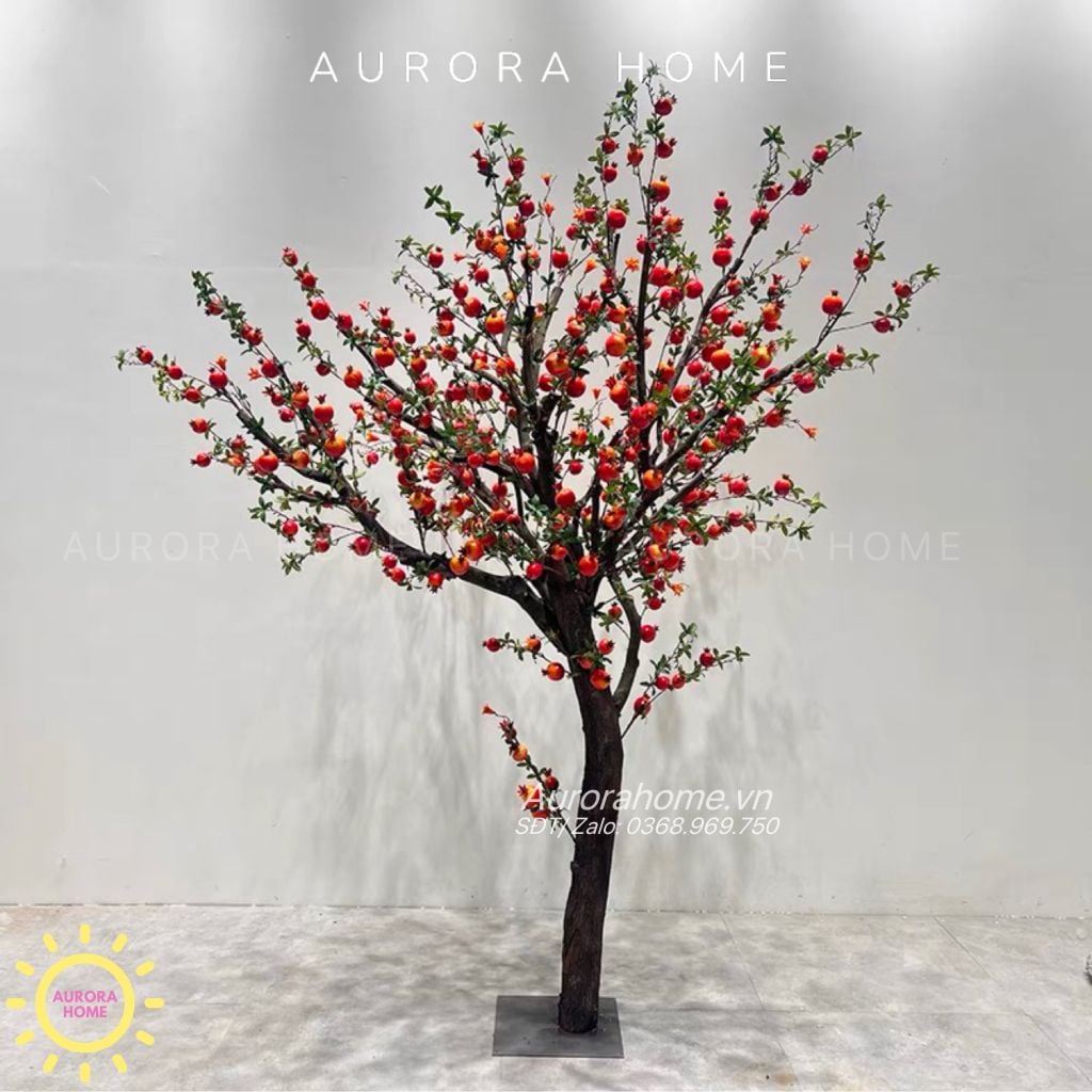 Cây lựu giả bonsai - Trồng theo kích thước yêu cầu