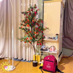 Cây lựu giả cao cấp trái sum suê