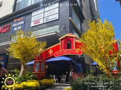 Cây mai giả cao cấp trang trí theo yêu cầu (hàng thiết kế)