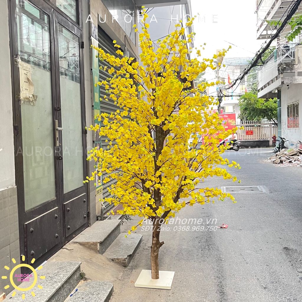 Cây hoa mai giả dáng đẹp trang trí văn phòng dịp Tết