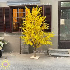 Cây hoa mai giả dáng đẹp trang trí văn phòng dịp Tết