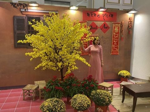 Cây mai giả lớn thiết kế