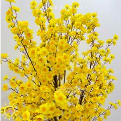 Cây mai giả cao cấp