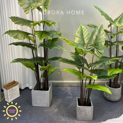 Cây khoai môn nước Philodendro cao cấp - cây nhân tạo trang trí