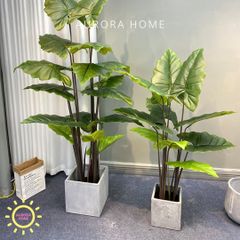 Cây khoai môn nước Philodendro cao cấp - cây nhân tạo trang trí