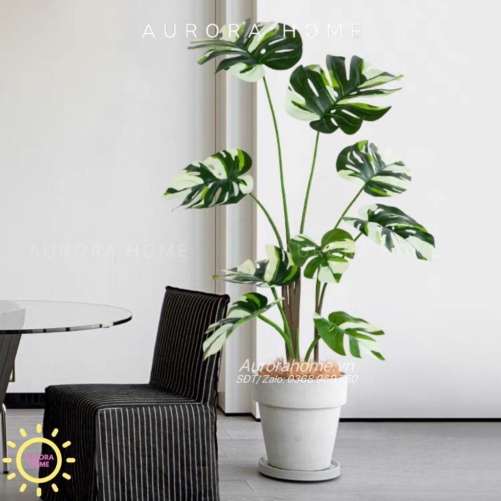 Cây giả Monstera đột biến tán lá đẹp