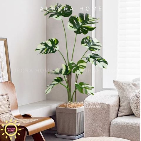 Cây giả Monstera đột biến tán lá đẹp